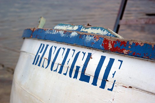 Tour image 6