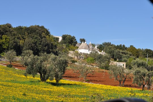 Tour image 2