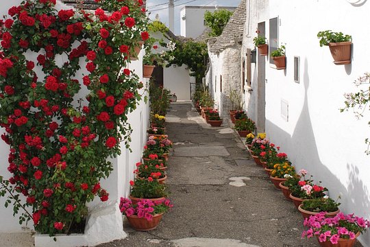 Tour image 2