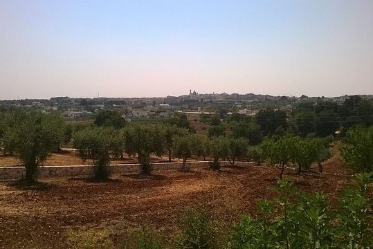 Tour image 6