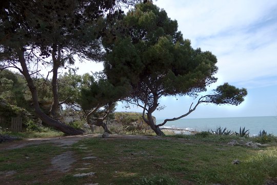 Tour image 3