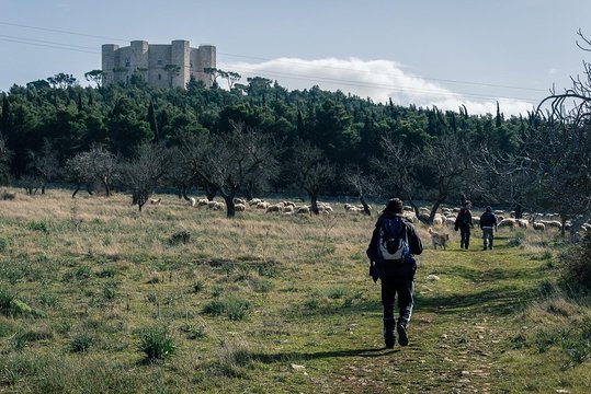Tour image 1