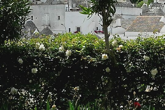 Tour image 3