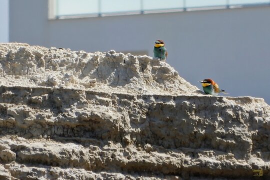 Tour image 7