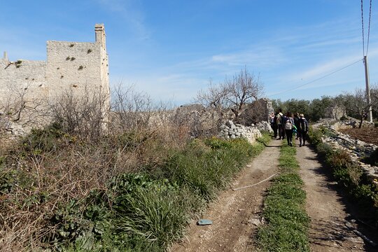 Tour image 9