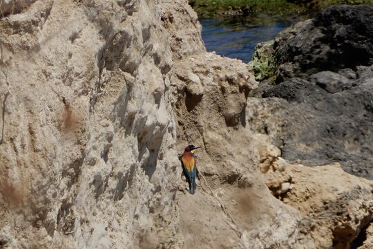 Tour image 10