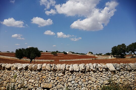 Tour image 12