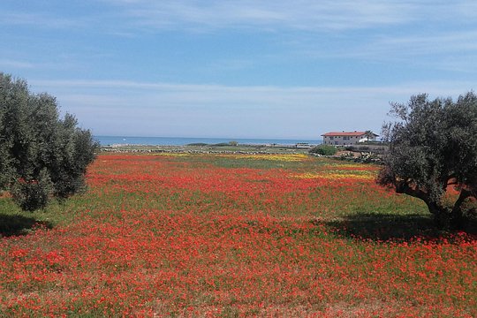 Tour image 5