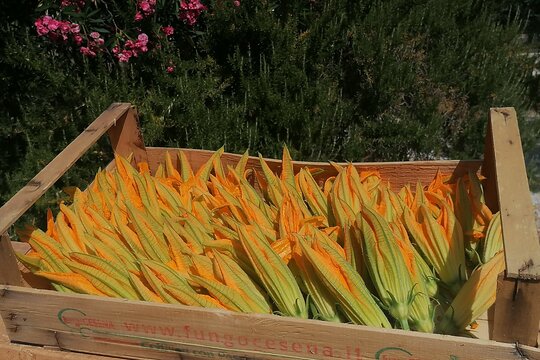 Tour image 12