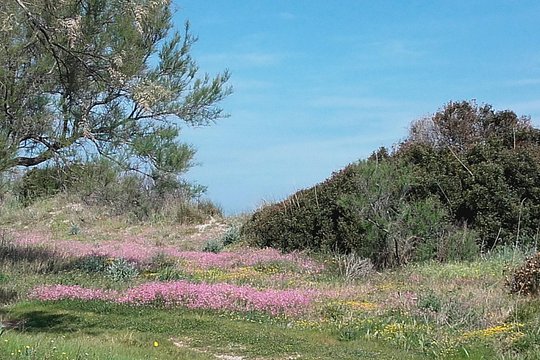 Tour image 6
