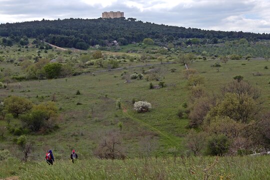 Tour image 11
