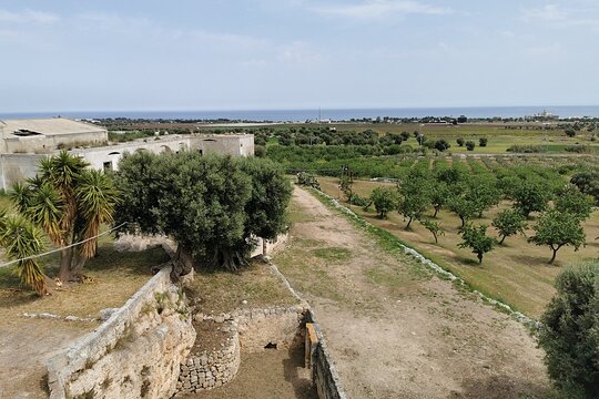 Tour image 5