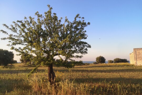 Tour image 10