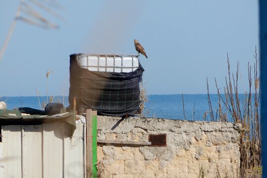 Tour image 12