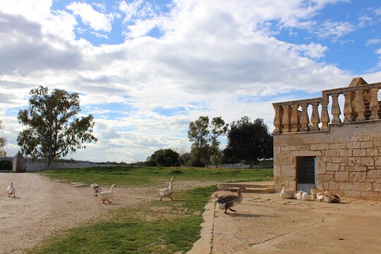 Tour image 13