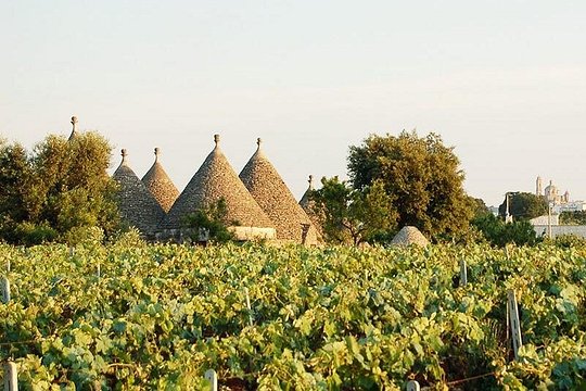 Tour image 2
