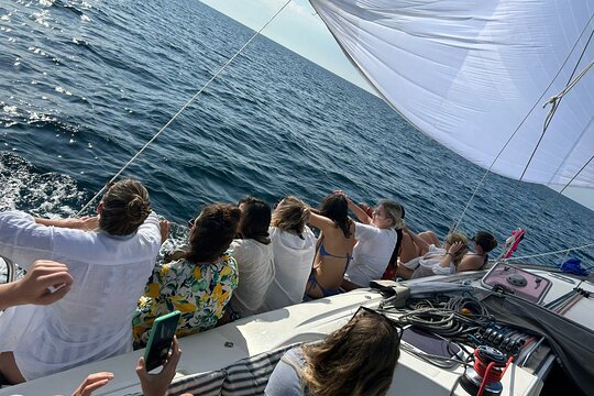 Tour image 4