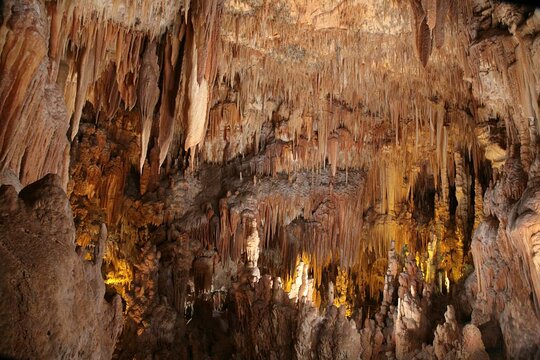 Tour image 1