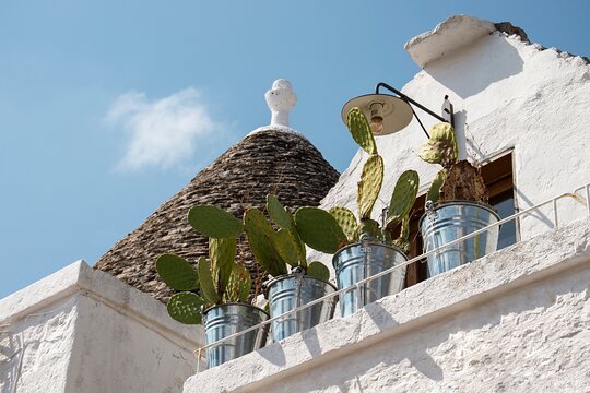 Tour image 9