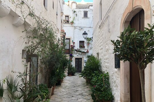 Tour image 7