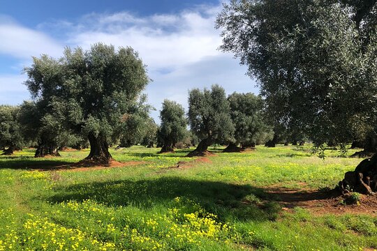Tour image 11
