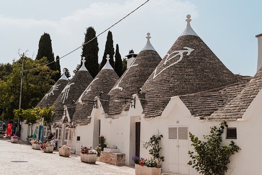 Tour image 12
